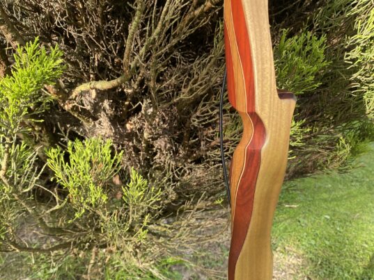 Mountain Lion Recurve bow 62"